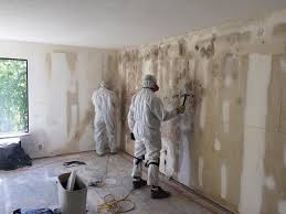 Professional Mold Removal & Remediation in Beech Grove, IN